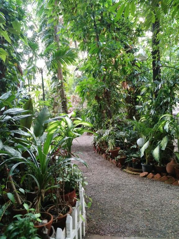 Green Woods Bethlehem Kochi Esterno foto