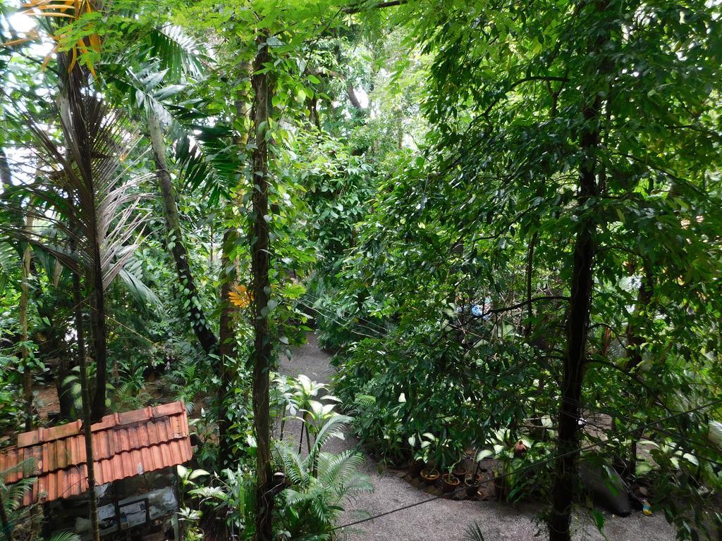 Green Woods Bethlehem Kochi Esterno foto