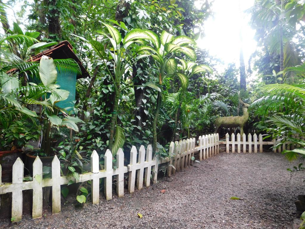 Green Woods Bethlehem Kochi Esterno foto