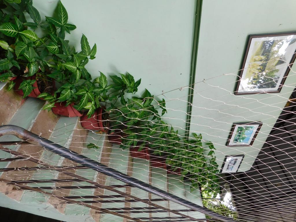 Green Woods Bethlehem Kochi Esterno foto